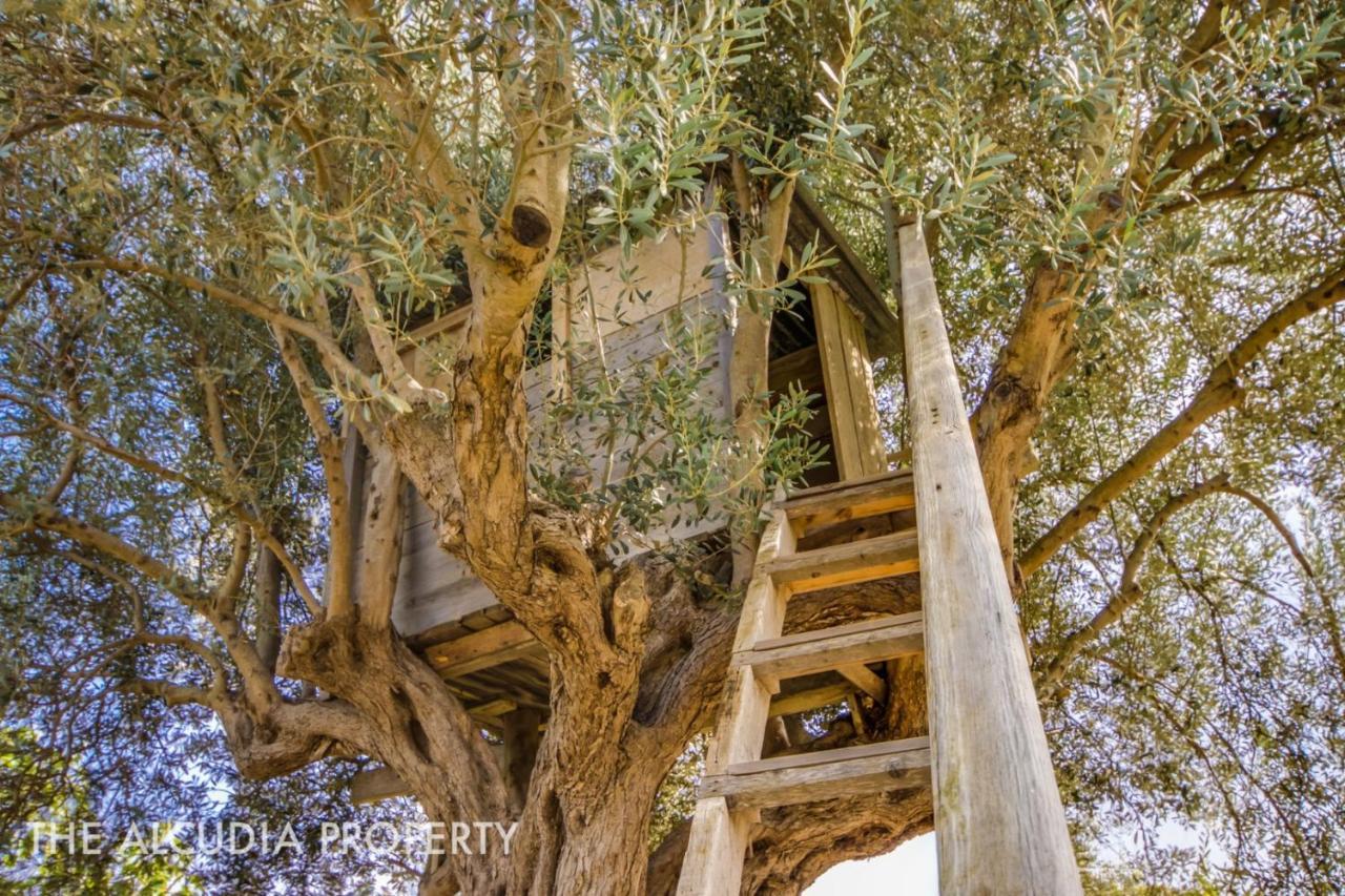 Finca Pegasus Alcúdia Exteriér fotografie